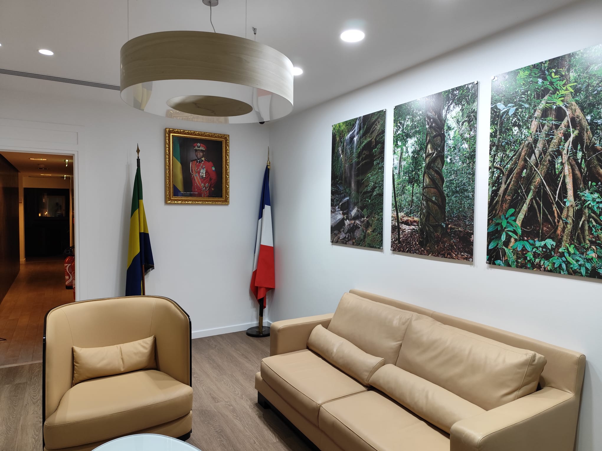 salon avec canapé moderne, tableau et drapeaux
